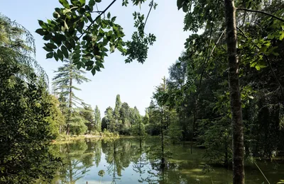 Pedras Salgadas — SPA e parque
